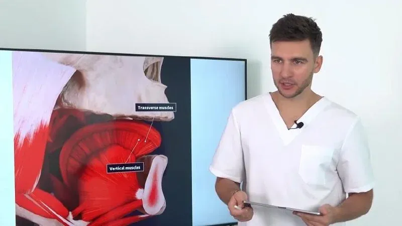 Tongue anatomy explained before every technique — the muscles that support the maxilla