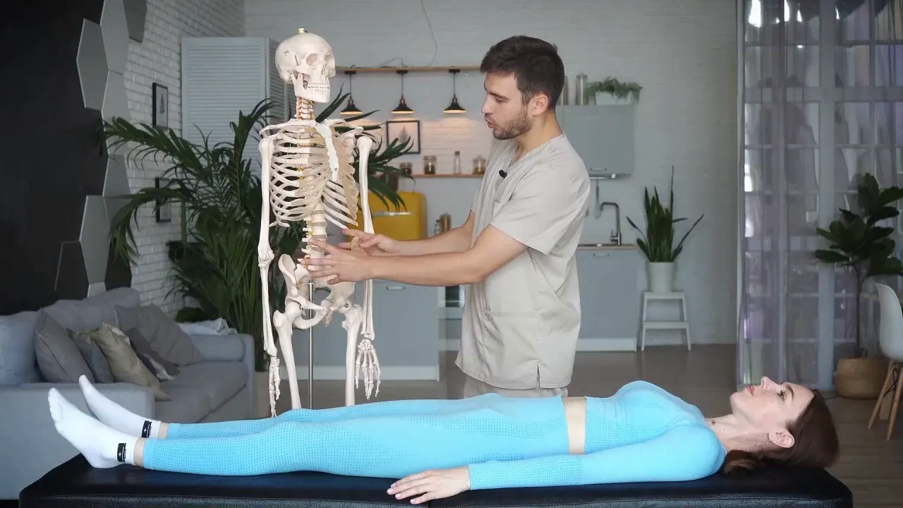 Anatomy explained on the model before every technique